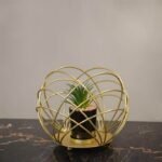 Ceramic Black Plant Pot in Gilded Bowl