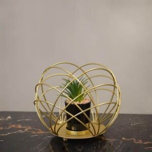 Ceramic Black Plant Pot in Gilded Bowl