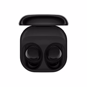 Galaxy Buds Core